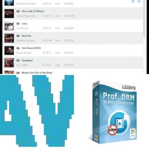 Leawo Prof. DRM Video Converter