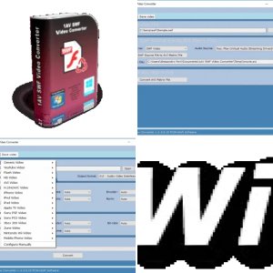 1AV SWF Video Converter