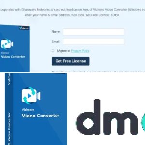 Vidmore Video Converter