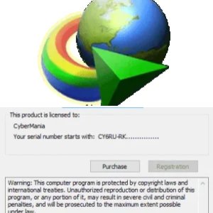 Internet Download Manager