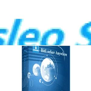 Hasleo BitLocker Anywhere 8.4 Professional