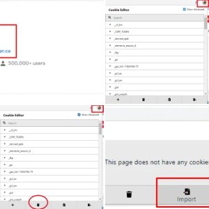 Cookie Editor