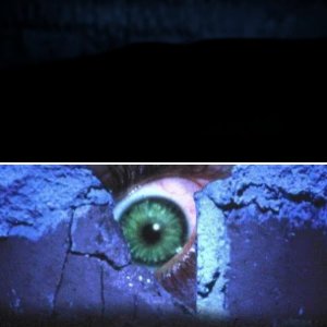 Buried Alive (1990)