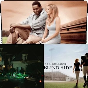 The Blind Side (2009)