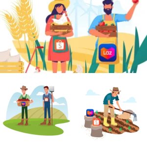 Online Farmer