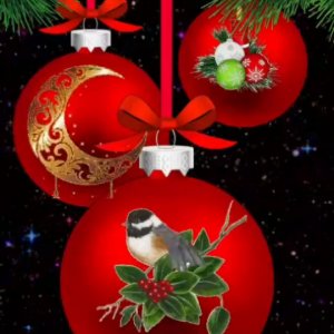 MERRY CHRISTMAS EVERYONE