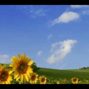 James Blunt - You Re Beautiful - piano version