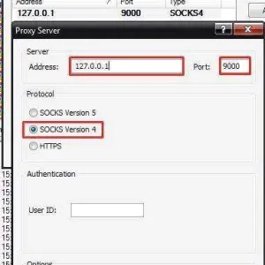 Proxy Server