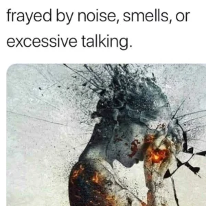 a1.jpg