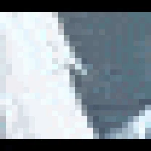 PC Graphic Softwares.gif