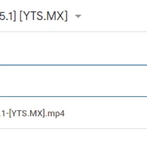 GDrive SS.png