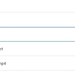 GDrive SS.png