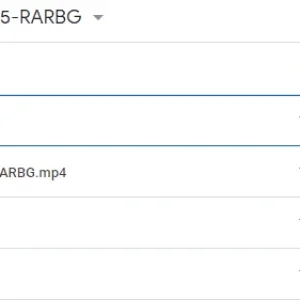 GDrive SS.png
