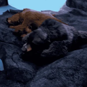 Alpha and Omega 7 Screenshot.png