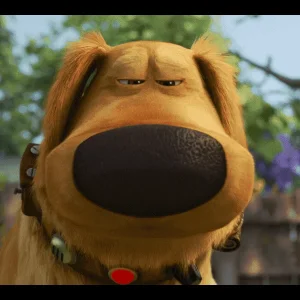 Screenshot-from-2021-09-02-16-41-1215d3330eb9e41b2b.png