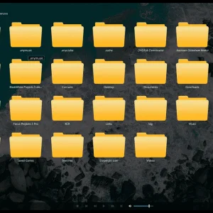 DVDFab-Player-6-Ultra-Folder.png