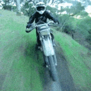 IMG_20210814_091001.gif