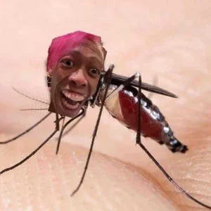 lalalala lamok. lamok