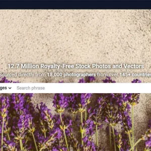 yayimages.jpg