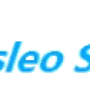 Hasleo-Software-LOGO-300x63.png