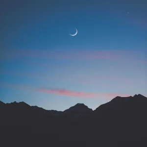 gavin-spear-wlXN8kRyD7M-unsplash.jpg
