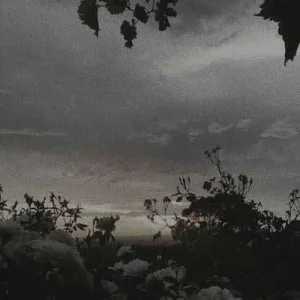 images (26).jpeg