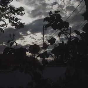images (23).jpeg