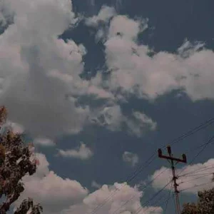 images (22).jpeg