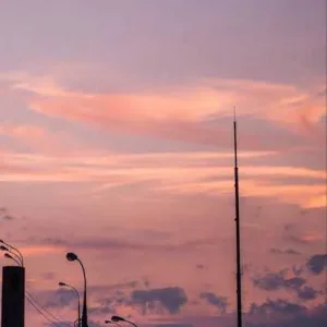 images (17).jpeg