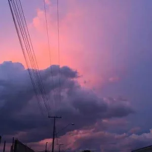 images (16).jpeg