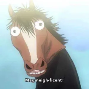 images (32) (11).jpeg