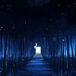images (32) (31).jpeg