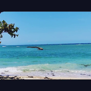 Maasin Bay,Southern Leyte🎥.mp4