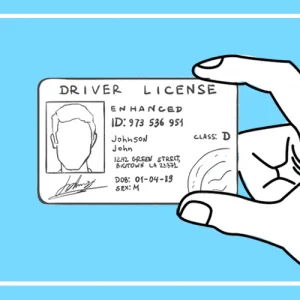 FakeIdentityGenerator.gif