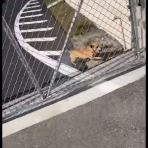 You dare skate your ass around here