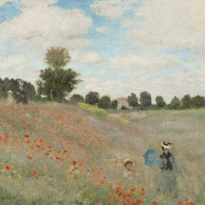 Poppy Field