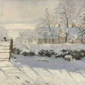 The Magpie