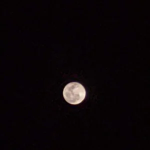 IMG_20220417_225802.jpg