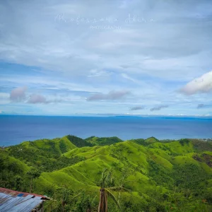 Green Scenery