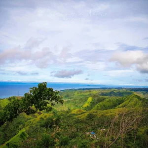 Green Scenery3