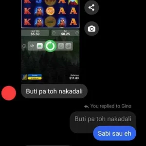 received_1483421062115453.jpeg