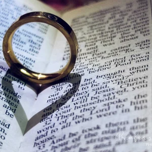 The Ring with a Shadow ❤️