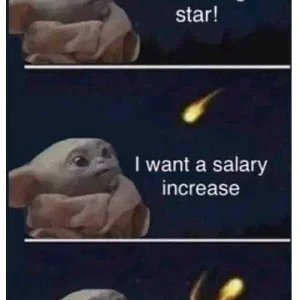 1664536213789.jpg