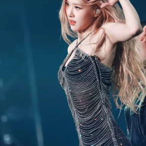 230115-BLACKPINK-ROSE-World-Tour-BORN-PINK-at-Hong-Kong-documents-1.jpeg