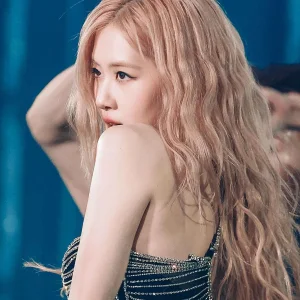 230115-BLACKPINK-ROSE-World-Tour-BORN-PINK-at-Hong-Kong-documents-2.jpeg