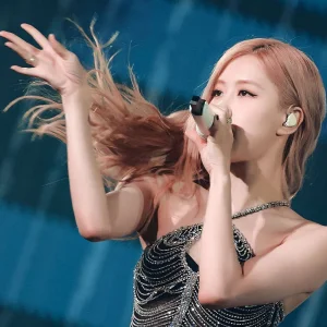 230115-BLACKPINK-ROSE-World-Tour-BORN-PINK-at-Hong-Kong-documents-3.jpeg