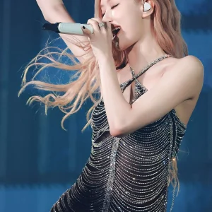 230115-BLACKPINK-ROSE-World-Tour-BORN-PINK-at-Hong-Kong-documents-4.jpeg