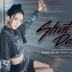 BLACKPINK-Born-Pink-2nd-Full-Album-Concept-Teasers-documents-1(2).jpeg