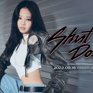 BLACKPINK-Born-Pink-2nd-Full-Album-Concept-Teasers-documents-1(3).jpeg