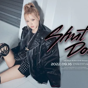 BLACKPINK-Born-Pink-2nd-Full-Album-Concept-Teasers-documents-1(4).jpeg